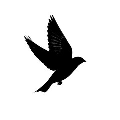 Obraz premium A silhouetted bird soaring freely against a neutral backdrop.