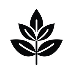Sage Herbal Symbol Icon Vector Illustration