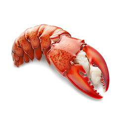 Cooked Lobster Tail with Meat Exposed