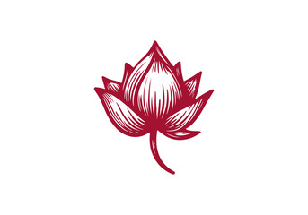 Lotus Flower hand drawn sketch vector illustration