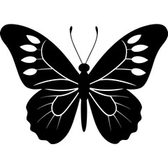 Black butterfly silhouette isolated on transparent background