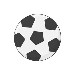 soccer ball. football. sports equipment. health theme. hobby. job. match. league. vector illustration
