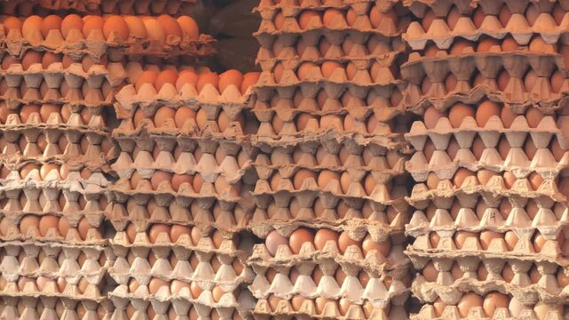 A close-up view of chicken eggs neatly arranged in a rack, prepared for distribution or sale. This image reflects the poultry farming industry's essential role in meeting daily food supply needs. Eggs