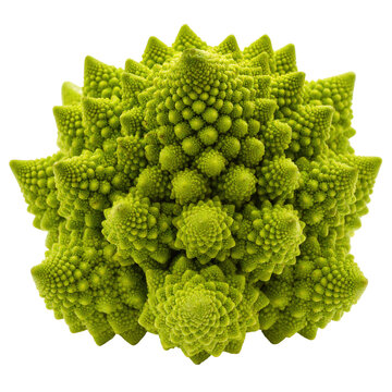 Detailed close-up view of a romanesco broccoli head isolated on a transparent background.