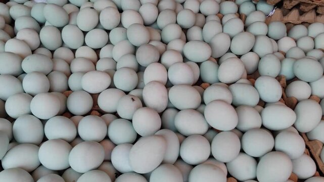 Scattered pale blue duck eggs placed in bulk, ready to be sold individually without packaging or racks. These eggs are commonly found in traditional markets or small-scale farms across Southeast Asia.