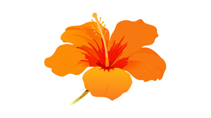 orange flower 