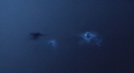 Fototapeta premium Mysterious Underwater Bioluminescent Blooms