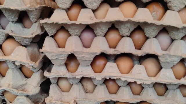 A close-up view of chicken eggs neatly arranged in a rack, prepared for distribution or sale. This image reflects the poultry farming industry's essential role in meeting daily food supply needs. Eggs