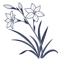 vector illustration of ipheion rolf fiedler