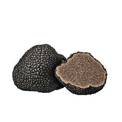Whole black truffle and sliced truffle isolated on transparent background