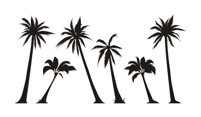 Vector set silhouette of a palm tree