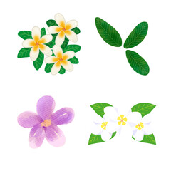 Fototapeta premium set of flowers