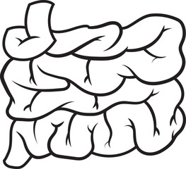 Ilustración anatómica del intestino grueso humano, ideal para educación médica, contenido de salud y bienestar.