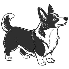 Fototapeta premium Stylized black and white illustration of a pembroke welsh corgi standing