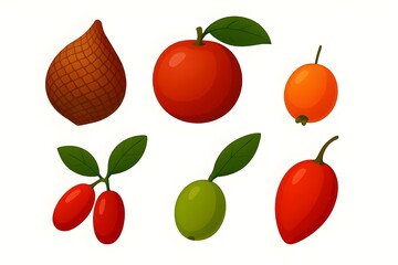 Exotic Fruit Vector Set Featuring Salak, Goji Berry, and Olive