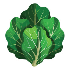 Fresh green leafy vegetable bunch with thick stems isolated on white background
