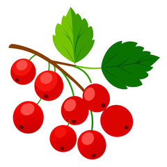 red currants with leaves