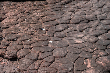 The surface of sun cracks rock in Phu Langka National Park of Bueng Kan province, Thailand. In geology, a crack formed in a rock by exposure to the sun's heat at the time the rock was consolidating.