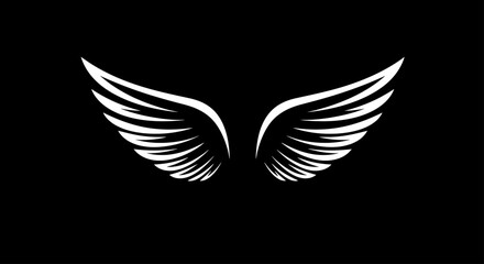 Obraz premium Elegant white wings against a black background, a symbolic design.