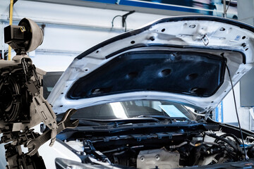 Fototapety na wymiar - Fototapeta24.pl