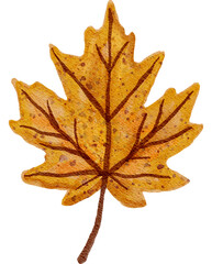 Watercolor Yellow Maple Leaf