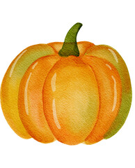 Watercolor Orange Pumpkin
