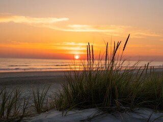 Serene Beach Sunset with Silhouetted Grass Foreground