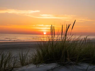 Crédence de cuisine Beige Serene Beach Sunset with Silhouetted Grass Foreground  © Thanh