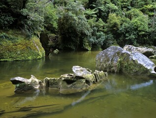 Limestone formations at Pororari River, Punakaiki National Park, South Island, New Zealand, Oceania