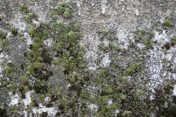 Weathered and cracked concrete wall, displaying age and texture. backgrounds or urban themes