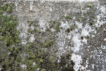 Fototapeta premium Weathered and cracked concrete wall, displaying age and texture. backgrounds or urban themes