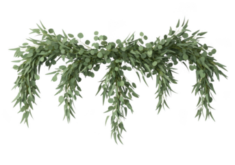 Green eucalyptus and baby s breath garland with cascading leaves isolated on transparent background