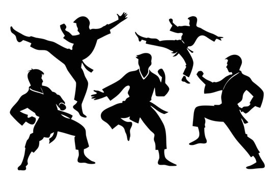 Shotokan Karate Kata Silhouettes for Martial Arts Practice and Art