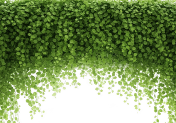 abstract green background with grass