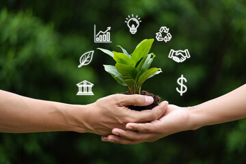 Hands holding a plant with business and finance icons symbolizing growth and sustainability