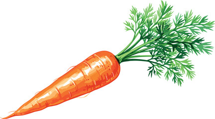 Watercolor illustration of fresh orange carrots with green leaves. Food clipart illustration.
