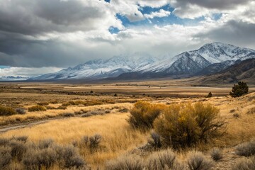 Landscape of snowy mountains and golden fields