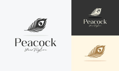 peacock feather logo design vector illustration