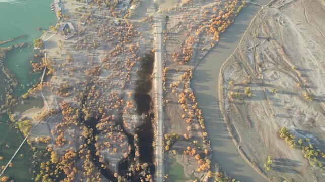 Drone view of lake and river in desert with Populus euphratica forest with yellow golden foliage on sunny autumn day in Xinjiang, China, aerial view of Tata Secret Realm in Yuli, 4k real time footage.