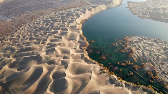 Drone view of lake and river in desert with Populus euphratica forest with yellow golden foliage on sunny autumn day in Xinjiang, China, aerial view of Tata Secret Realm in Yuli, 4k real time footage.