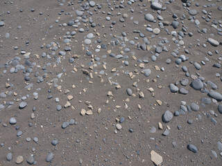 Fragments of ancient pottery weathered from the sand on Ainu settlement archeological site on Iturup, Kuril Islands
