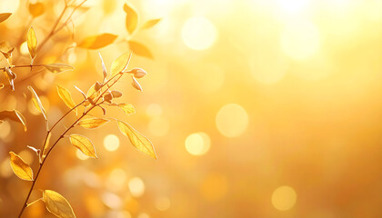 Obraz premium 金色の淡い光と植物