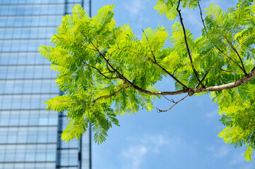 Modern office building with green trees