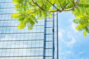 Modern office building with green trees