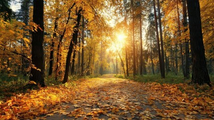 Sunlit Autumn Forest Pathway Lined with Golden Leaves
