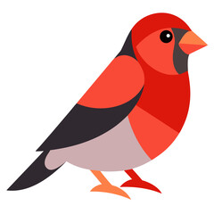 bird on a white background vector