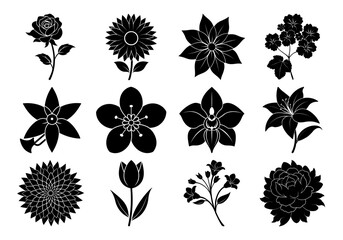 Collection of floral silhouettes isolated on white background
