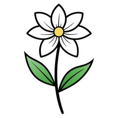wood-anemone   vector  illustration on-white-background