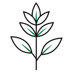  xyris line art vector  on white background