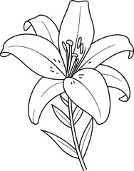 Black and White Lily Flower CAD Illustration, Detailed Botanical Drawing, Elegant Floral Design for Coloring Books, Prints, and Nature Studies
